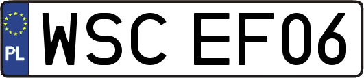 WSCEF06