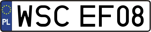 WSCEF08