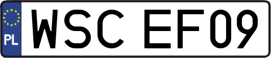 WSCEF09