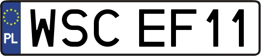 WSCEF11