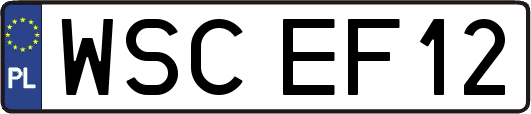 WSCEF12