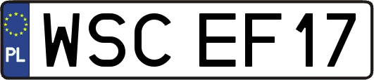 WSCEF17