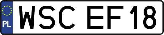 WSCEF18