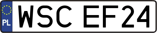 WSCEF24