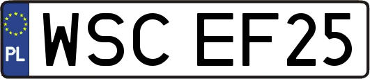 WSCEF25