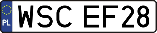 WSCEF28