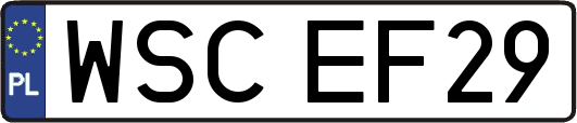 WSCEF29