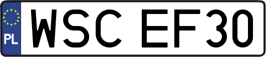 WSCEF30