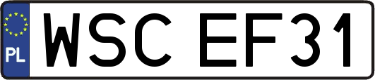 WSCEF31