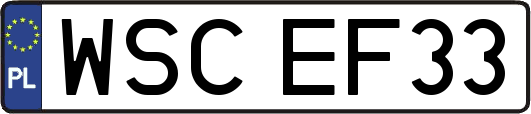 WSCEF33