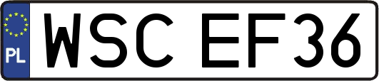 WSCEF36