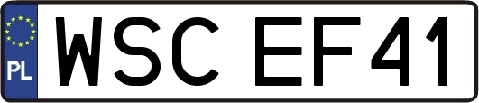 WSCEF41