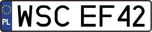 WSCEF42
