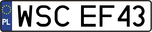 WSCEF43