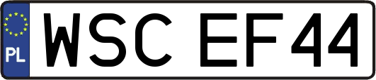 WSCEF44