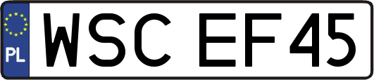 WSCEF45