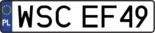 WSCEF49