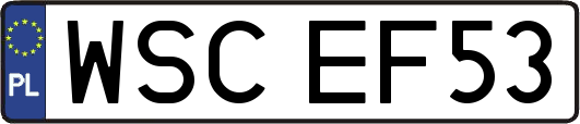 WSCEF53