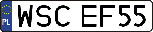 WSCEF55