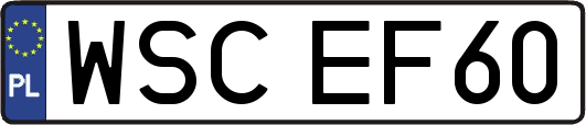 WSCEF60