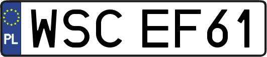 WSCEF61