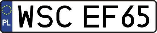WSCEF65
