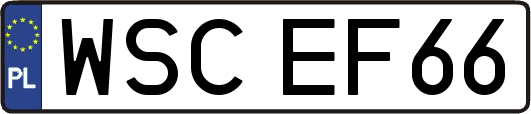 WSCEF66