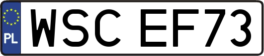 WSCEF73
