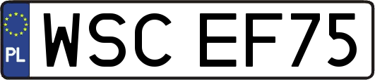 WSCEF75