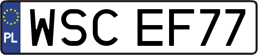 WSCEF77