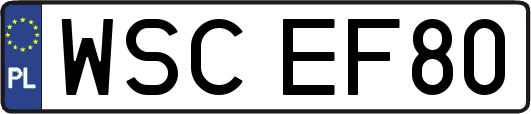 WSCEF80