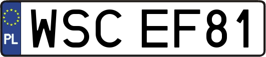 WSCEF81