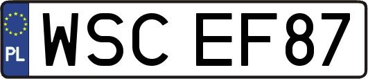 WSCEF87