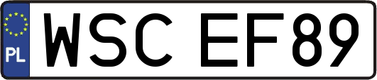 WSCEF89