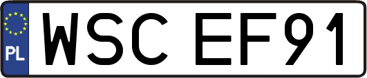 WSCEF91