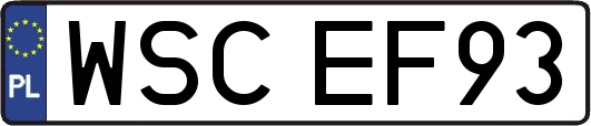 WSCEF93