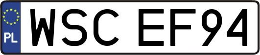 WSCEF94
