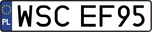WSCEF95