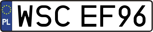 WSCEF96