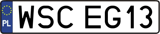 WSCEG13
