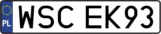 WSCEK93
