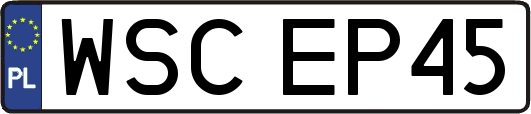 WSCEP45