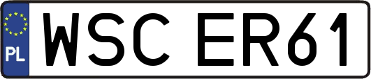 WSCER61