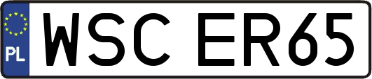 WSCER65