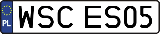 WSCES05