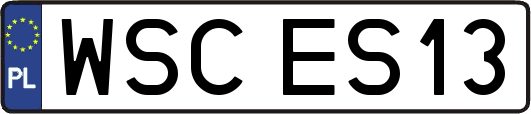 WSCES13
