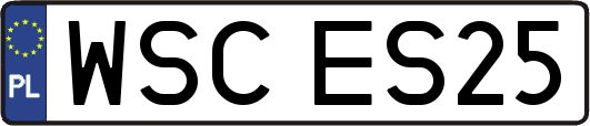 WSCES25