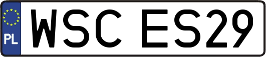WSCES29