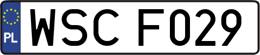 WSCF029