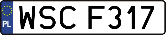 WSCF317